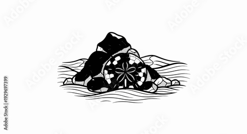 A stylized black and white drawing depicts a sand dollar nestled amongst dark rocks