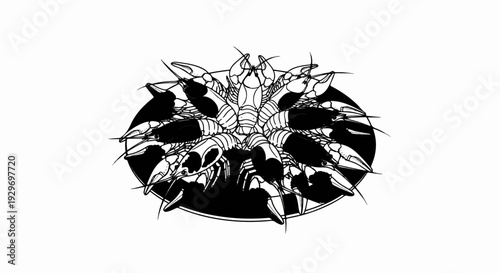 A black and white illustration shows a circular arrangement of detailed crayfish