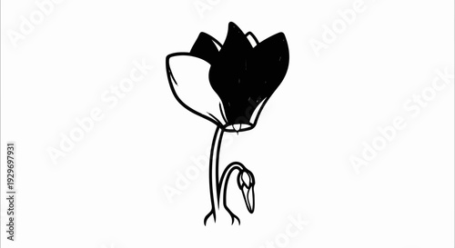 Stylized sketch of a black and white flower with a drooping bird-like stem