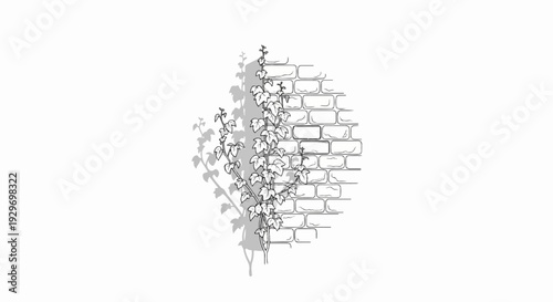 A vine with heart-shaped leaves climbs a textured brick wall, casting a shadow
