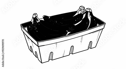 Black bananas in a carton, a simple line drawing illustration