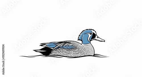 A blue and white speckled duck swims on dark wavy water against a white background