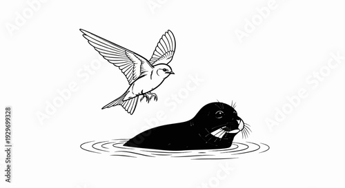 A bird flies above a seal swimming in the water