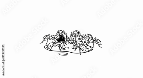 Several ants gathered around a pool of liquid, some appearing to drink