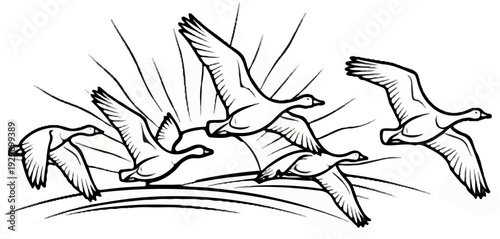 Flock of geese in flight, with flowing grasses and a sense of natural movement