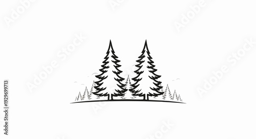 Simple line art drawing of evergreen trees and birds on a white background