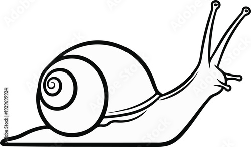 Line art illustration of a snail with antennae and a spiral shell