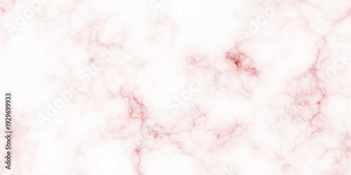 Panorama blank concrete marble white rough wall for background. Paper texture and vector design stucco gray stone table top view. White Carrara marble texture background.