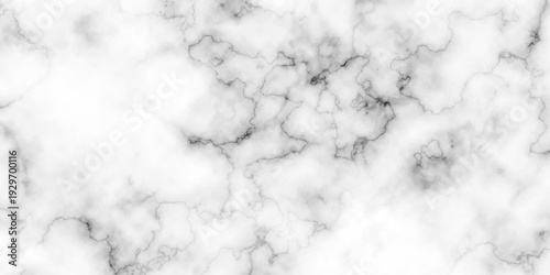 Panorama blank concrete marble white rough wall for background. Paper texture and vector design stucco gray stone table top view. White Carrara marble texture background.