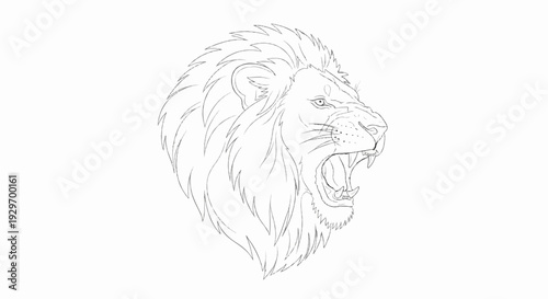 Fierce lion's head illustration, mouth open, roaring ferociously, detailed mane