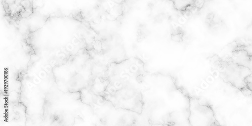 Panorama blank concrete marble white rough wall for background. Paper texture and vector design stucco gray stone table top view. White Carrara marble texture background.