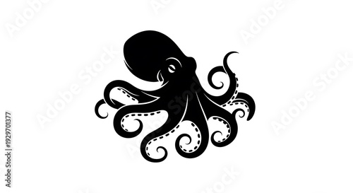 Black octopus silhouette on white background.