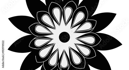 Black and white floral pattern with stylized flower design.