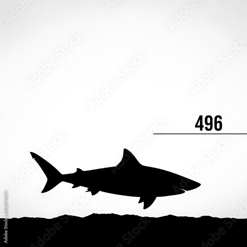 Shark Silhouette Swimming Underwater Ocean.