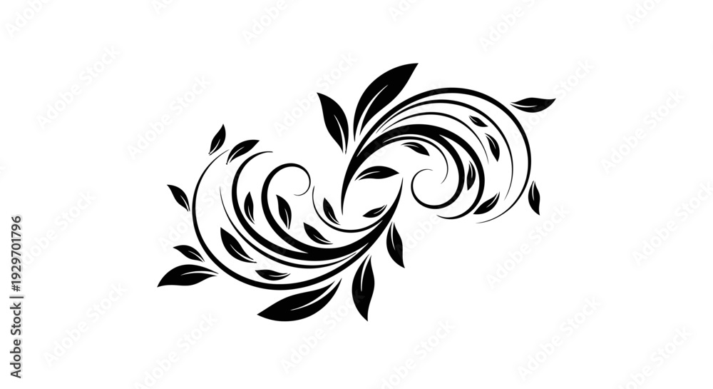 Fototapeta premium Elegant black floral swirl design with leaves on white background.