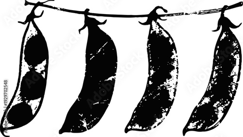 Black and white illustration of four hanging pea pods in a rustic grunge