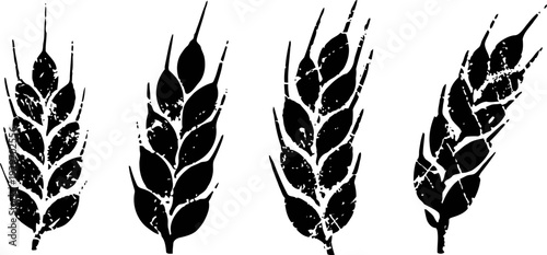 four black and white distressed wheat ear silhouettes grain stalks, cereal crops, agriculture symbols rough texture vector illustration