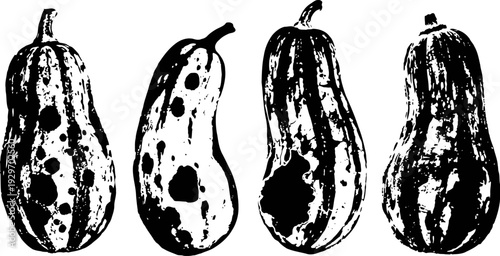 black and white gourds illustration set with rustic texture and natural shapes