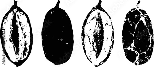 Illustrated cacao beans in various styles with detailed textures and outlines on white background