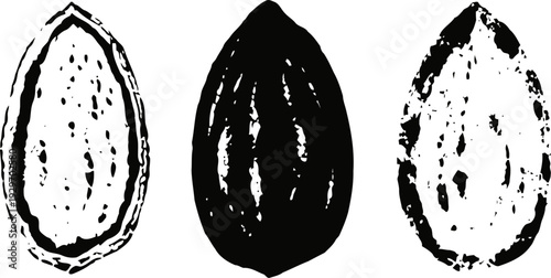 Three black and white almond illustrations halves and whole nut kernel simple hand drawn sketch