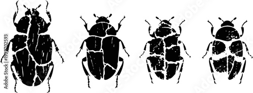 four black beetle silhouettes in varying sizes on a white background