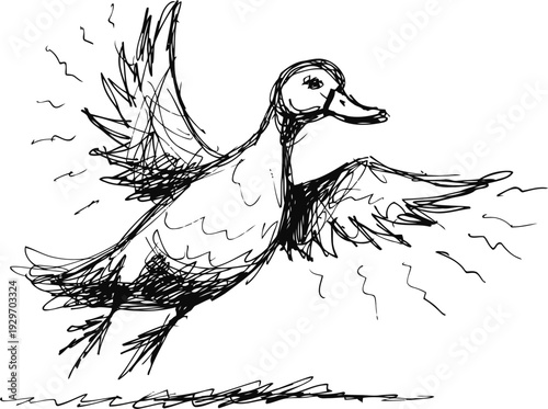 black sketch of duck flying with wings spread wide simple hand drawn ink bird illustration