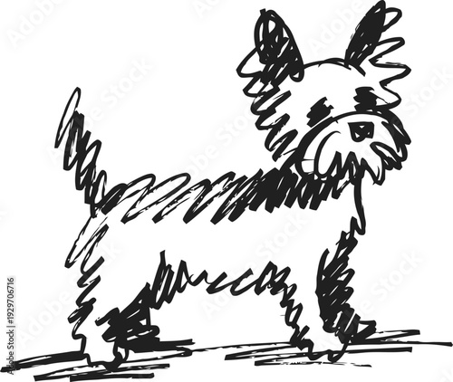 sketch of small dog with fluffy fur and perky ears standing on ground