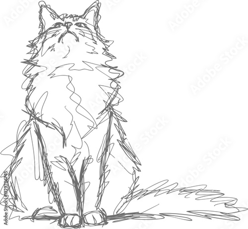 Sketch of a fluffy cat sitting upright looking upward with a long bushy tail