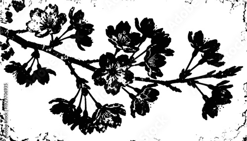 black ink cherry blossom branch silhouette on textured white background vintage