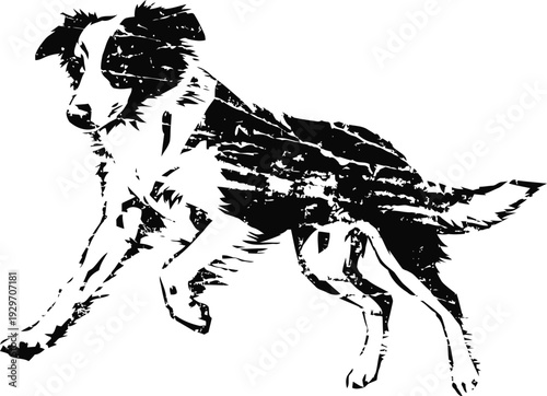 black and white illustration of a playful border collie dog in mid motion