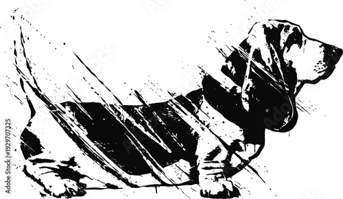 Basset hound silhouette with grunge paint splatter effect side view dog profile in black and white