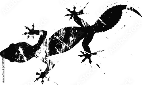 Grunge gecko silhouette with textured scratch effect isolated on white background