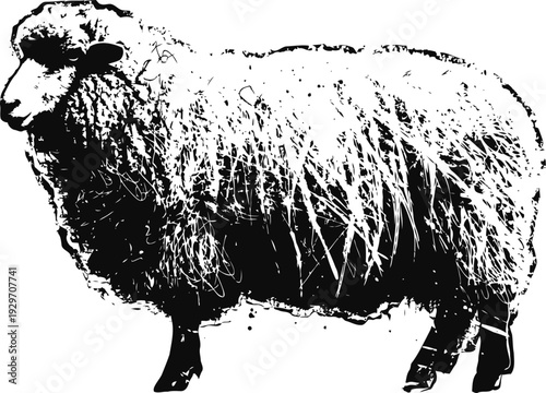 Black and white silhouette of a sheep with thick wool standing sideways on white background