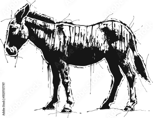 hand drawn donkey illustration black and white detailed sketch of farm animal standing in side view