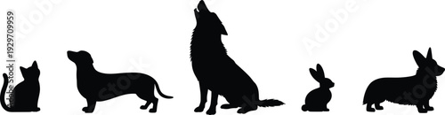 Black silhouettes of different pets including cat dachshund howling wolf rabbit and corgi isolated on white background for animal design
