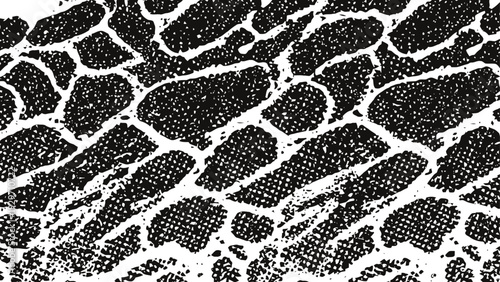 Black and white giraffe skin pattern texture natural animal print background with irregular spots and dots design