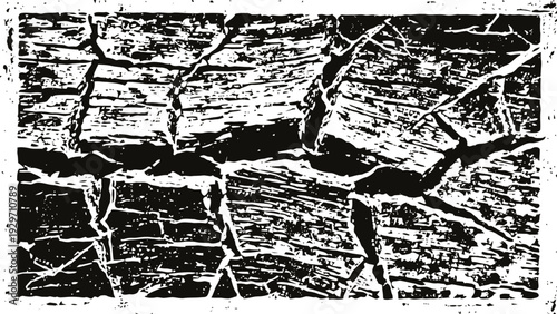 abstract cracked wood texture background with detailed rough grain and split patterns