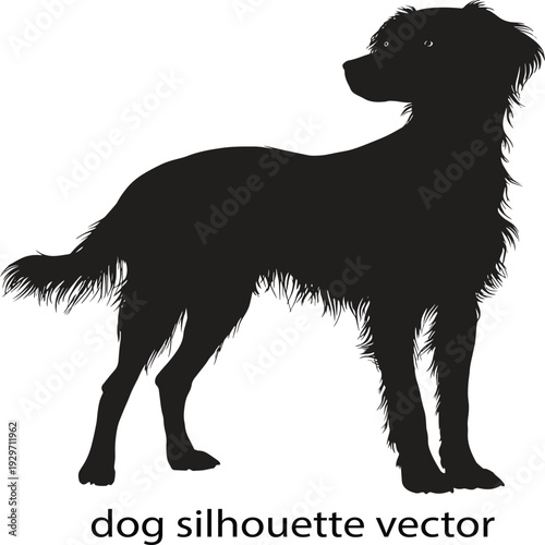 Black Labrador Puppy Silhouette: Simple