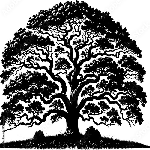 tree silhouette vector