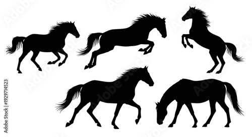 Dynamic Equestrian Silhouettes: A collection of horse silhouettes capturing various dynamic poses, showcasing the elegance and power of these magnificent animals in motion.