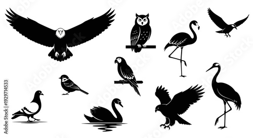 Array of Avian Marvels: An array of avian silhouettes, each a study in elegant form and poised action, provides a glimpse into the diverse beauty of the bird kingdom.