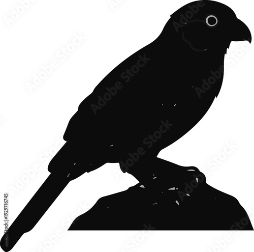 Silhouette of a bird perched on a rock, with white accents