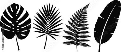 Collection of diverse tropical leaf silhouettes on a white background