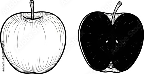 Line art illustration shows an apple whole and its cross-section