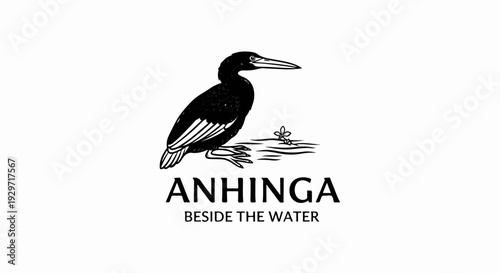 Black and white illustration of a bird with long beak standing on water