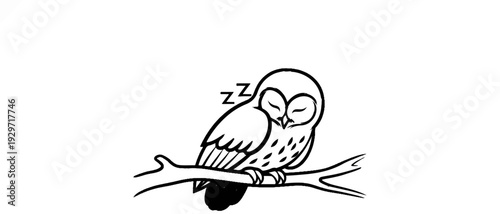 A simplified line drawing of a sleeping owl perched on a branch, with 'z's indicating sleep