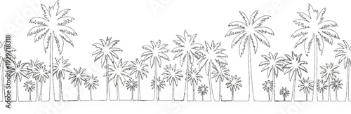 A diverse array of palm trees, varying in size and fullness, creates a serene tropical horizon