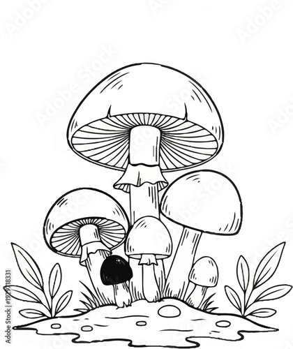 A group of various sized mushrooms grows together in a natural setting