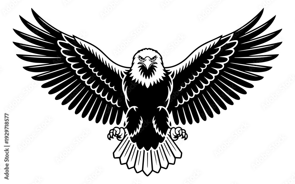 Fototapeta premium Majestic black and white eagle illustration in mid-flight with wings spread wide Vector