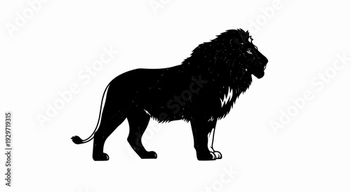 Silhouette of a majestic lion with a thick mane, standing alert